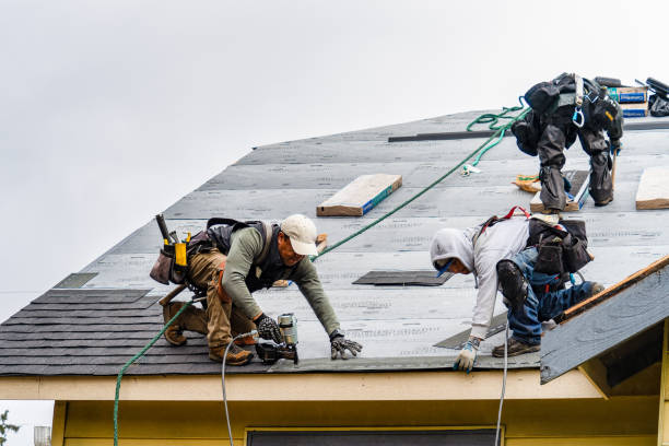 Professional Emergency Roof Repair technician working in Hyde Park, PA